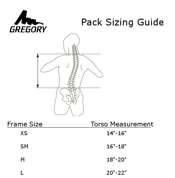 Backpack Torso Size Guide